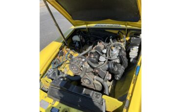 Mg-B-1979-Yellow-Black-15