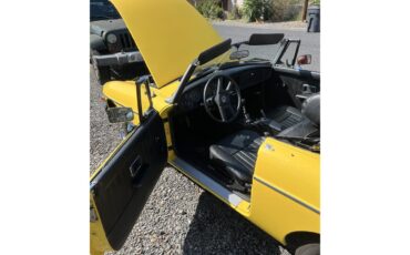 Mg-B-1979-Yellow-Black-17