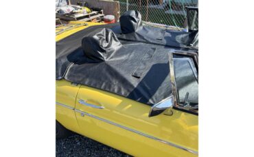 Mg-B-1979-Yellow-Black-4