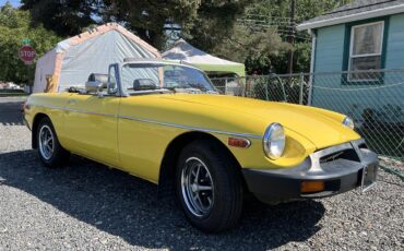 Mg-B-1979-Yellow-Black-8