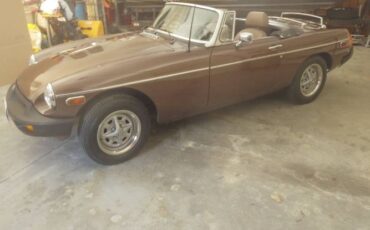 Mg-B-1980-Brown