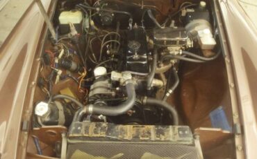 Mg-B-1980-Brown-8