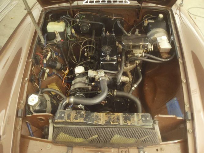 Mg-B-1980-Brown-8