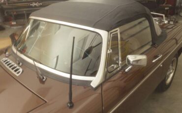 Mg-B-1980-Brown-9