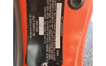 Mg-B-1980-Original-Vermilion-Black-26
