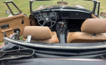 Mg-B-1980-Russet-Brown-3
