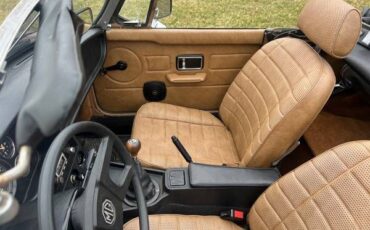 Mg-B-1980-Russet-Brown-6