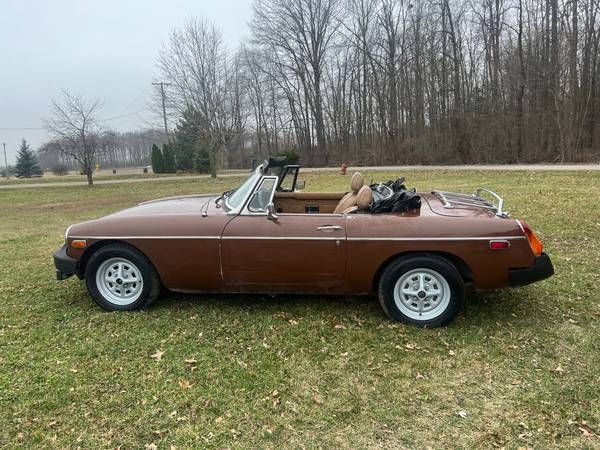 Mg-B-1980-Russet-Brown