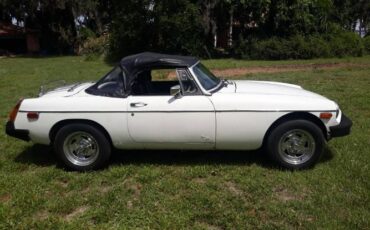 Mg-B-1980-White-2
