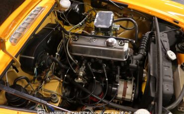 Mg-B-gt-1973-Yellow-Black-9