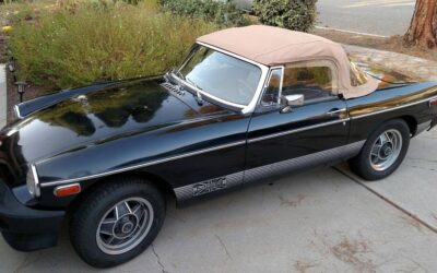 Mg B le 1979