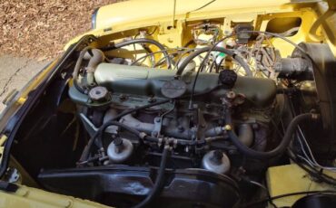 Mg-C-1968-Yellow-3