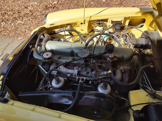 Mg-C-1968-Yellow-3