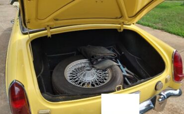 Mg-C-1968-Yellow-Black-1