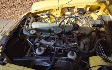 Mg-C-1968-Yellow-Black-3