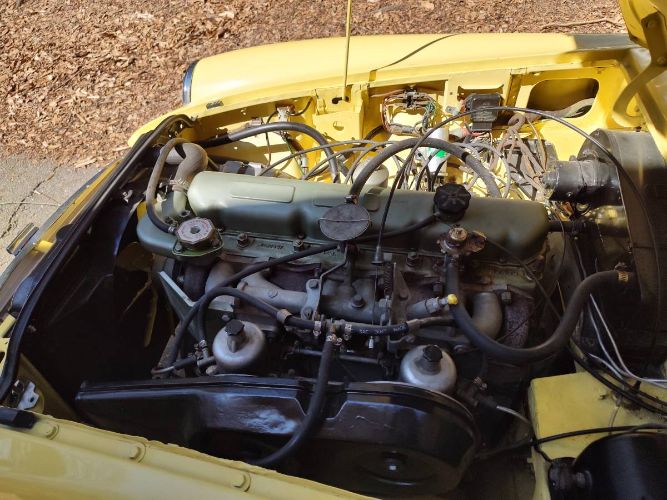 Mg-C-1968-Yellow-Black-3