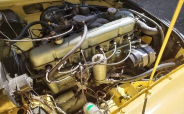 Mg-C-1968-Yellow-Black-4
