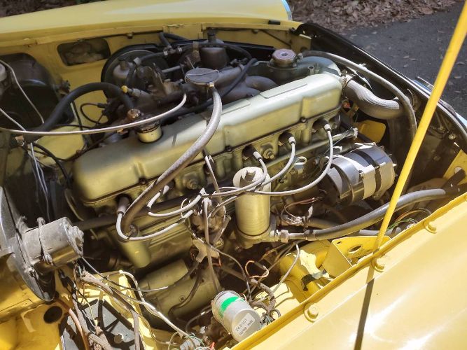 Mg-C-1968-Yellow-Black-4