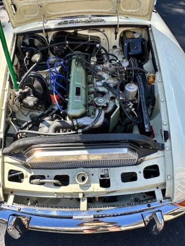 Mg-C-1969-Snowberry-White-10