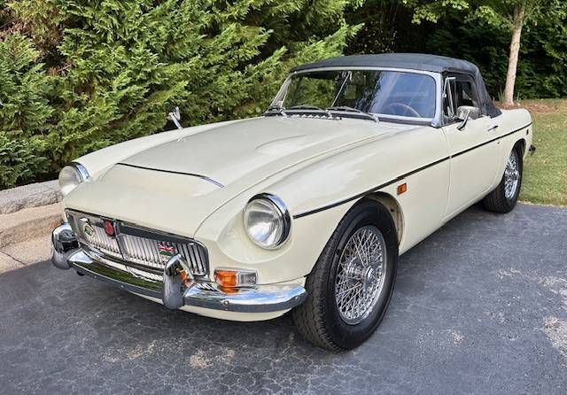 Mg-C-1969-Snowberry-White-11