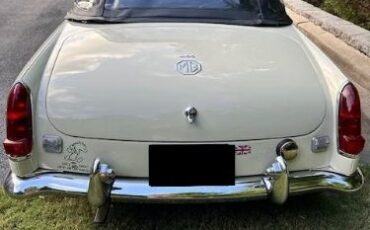 Mg-C-1969-Snowberry-White-3