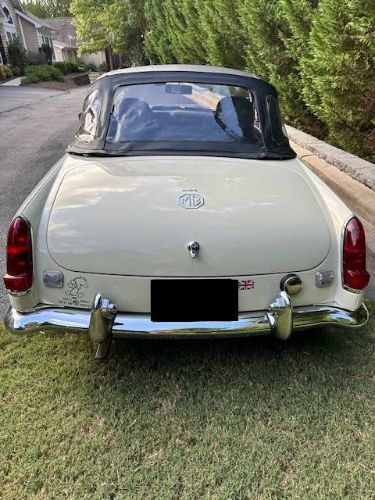 Mg-C-1969-Snowberry-White-3