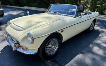 Mg-C-1969-Snowberry-White
