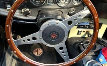 Mg-C-1969-Snowberry-White-4