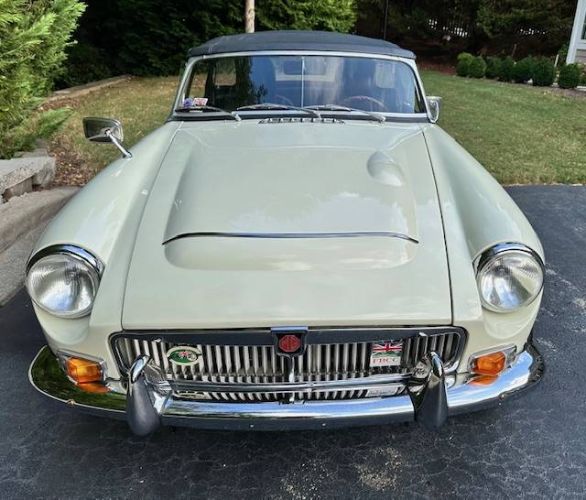 Mg-C-1969-Snowberry-White-6