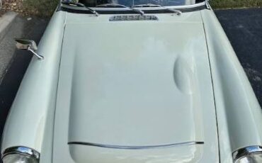 Mg-C-1969-Snowberry-White-7