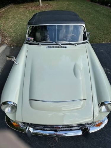Mg-C-1969-Snowberry-White-7