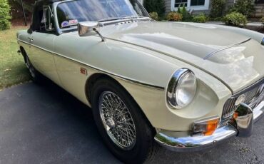 Mg-C-1969-Snowberry-White-9