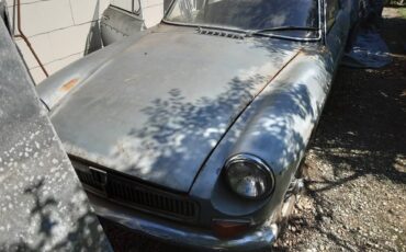 Mg-Gt-1967-silver-4