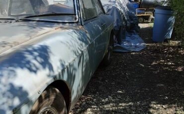 Mg-Gt-1967-silver-5