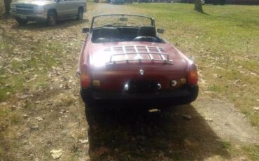 Mg-Gt-1977-4