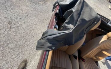 Mg-Midget-1979-Burgundy-Tan-Leather-1