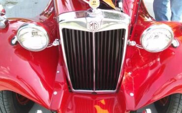 Mg-Td-1951-8