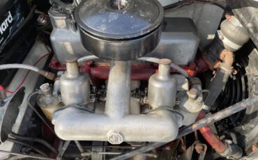 Mg-Td-1952-White-9