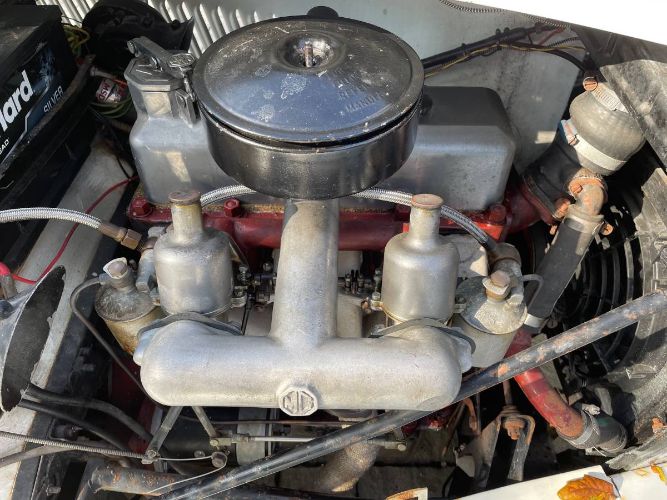 Mg-Td-1952-White-9