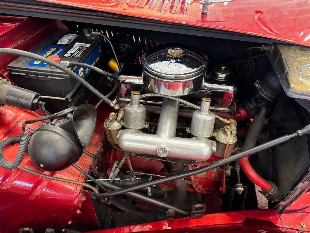 Mg-Td-1953-red-21