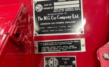 Mg-Tf-1955-Red-Brown-16