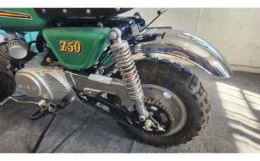 Mini-Bike-1974-Sparkle-Green-Black-1