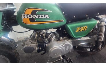 Mini-Bike-1974-Sparkle-Green-Black