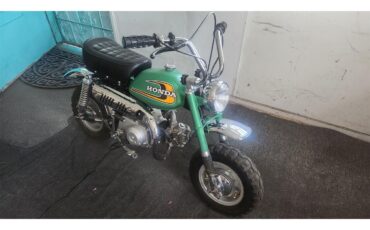Mini-Bike-1974-Sparkle-Green-Black-4
