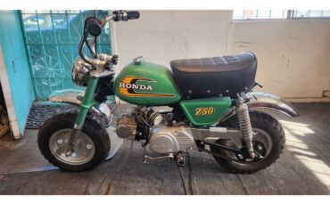 Mini-Bike-1974-Sparkle-Green-Black-8