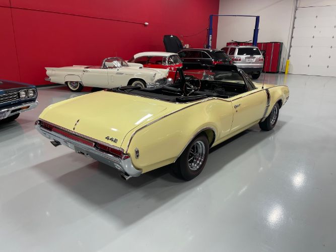 Oldsmobile-442-1968-Saffron-Yellow-Black-2