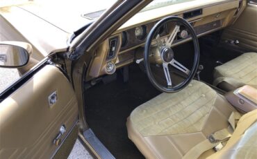 Oldsmobile-442-1970-Gold-Gold-3