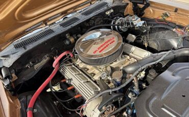 Oldsmobile-442-1970-custom-16