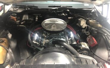 Oldsmobile-98-1977-Alpine-White-Sky-Blue-Crushed-Vel-10