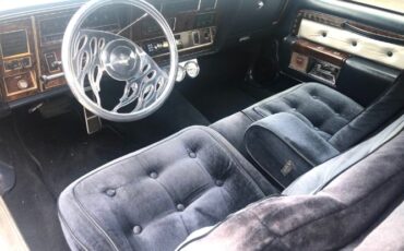 Oldsmobile-98-1977-Alpine-White-Sky-Blue-Crushed-Vel-16